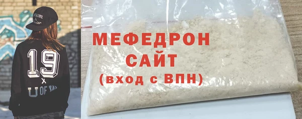 шишки Дубна