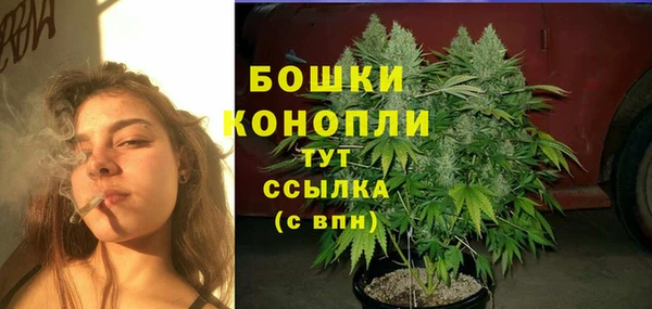 spice Пересвет