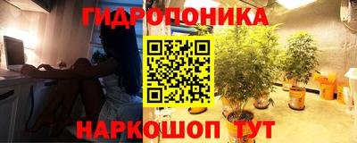 mdpv Беслан