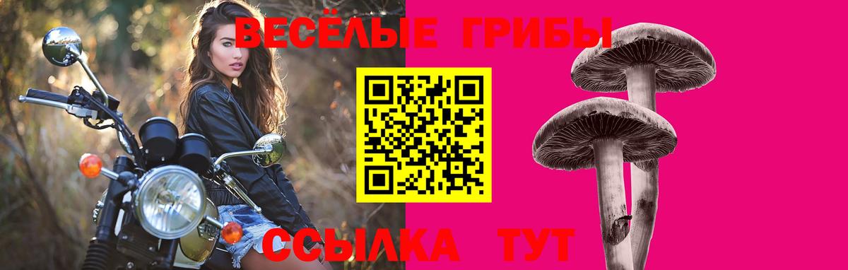 Псилоцибиновые грибы прущие грибы  Сафоново 